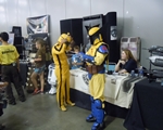 Big WoW ComicFest San Jose 2013 Photo 287Thumbnail